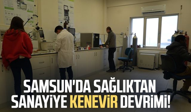 Kenevirden kauçuk, krem ve biyomalzeme