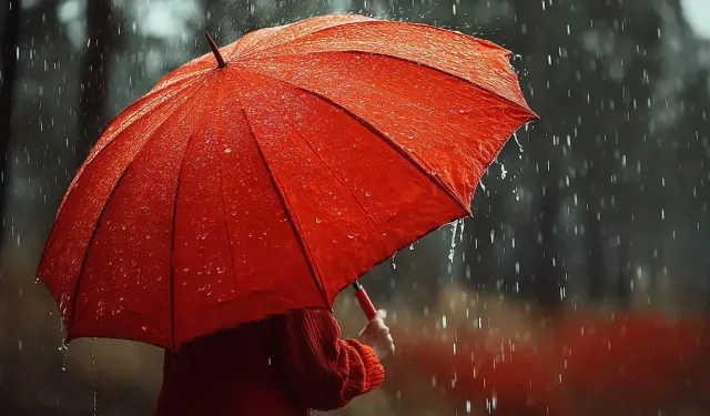 Yağmurun Şehre Kattığı Atmosfer