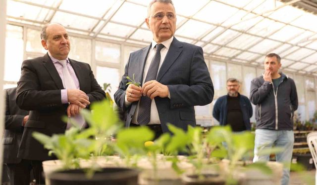 Başkan Kurnaz: 'Ata tohumlarımızı korumak bir zorunluluk'