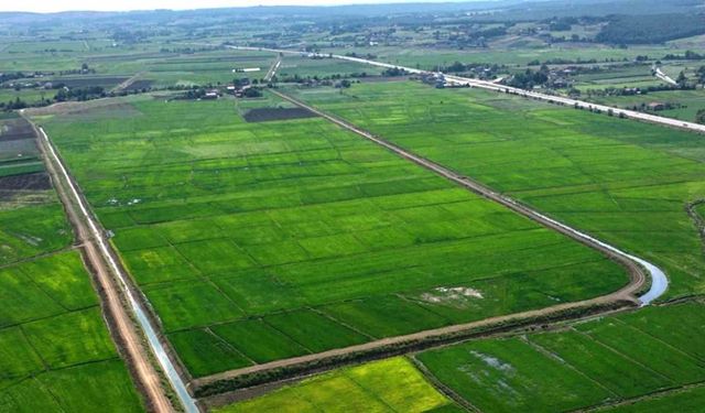Samsun'da bozulan tarım arazileri cezasız kalmadı: 48 işlem uygulandı