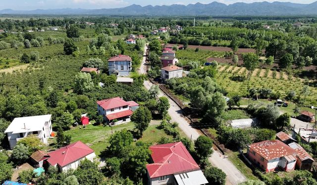 Terme’de Doğa ile İç İçe Günlük Hayat