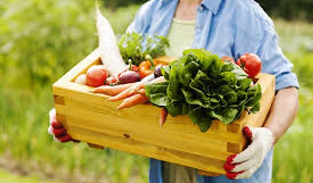 Salıpazarı’nda Kırsal Yaşam ve Doğal Üretim Rotaları