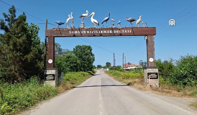 Kızılırmak Deltası’nda Ekoturizm Deneyimi