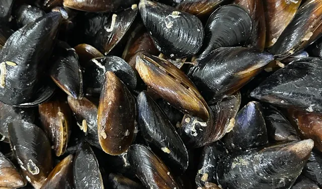 Samsun’da Sokak Lezzetlerinin Şehir Hayatındaki Rolü