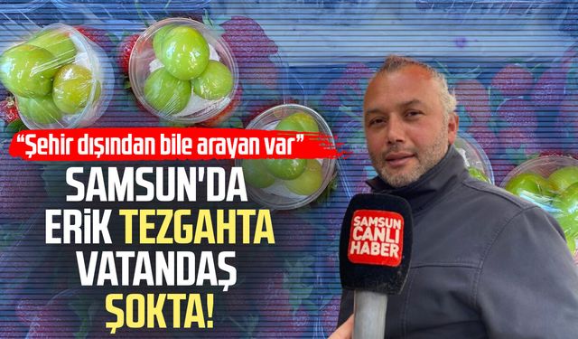 Samsun’da erik tezgahta, vatandaş şokta! Tanesi dudak uçuklattı