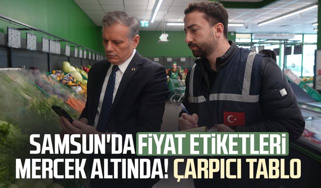 Samsun'da 200 bin ürün denetlendi, 420 ürüne işlem yapıldı