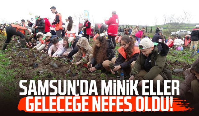 Bafra'da minik eller 3 bin fidanı toprakla buluşturdu