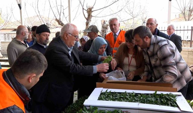 Atakumlu çiftçiye 100 bin sebze fidesi