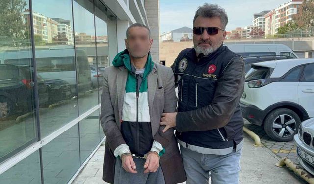 Evinde bonzai ele geçirilen şahıs tutuklandı