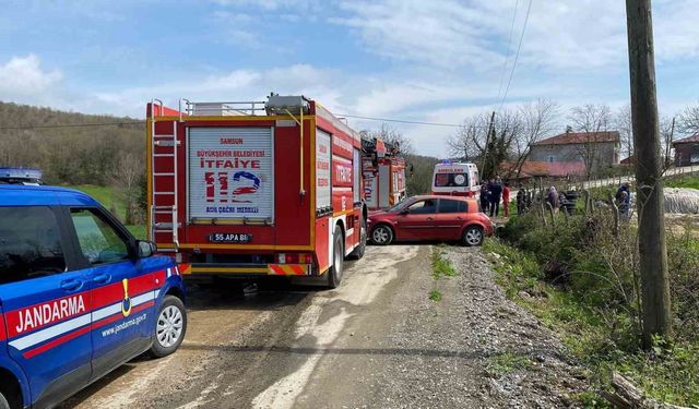 Kestiği ağaç canına mal oluyordu: Ağır yaralandı