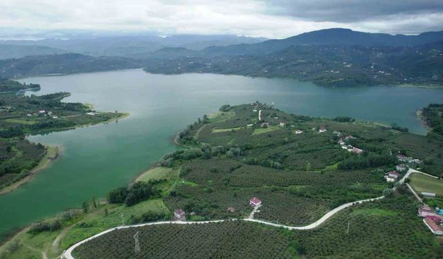 Yağmurlar Samsun'a içme suyu sağlayan barajları doldurup taşırdı