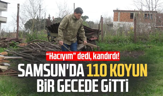 110 koyun gitti, 3 yıldır para yok: Dolandırıcılar hayatını kararttı