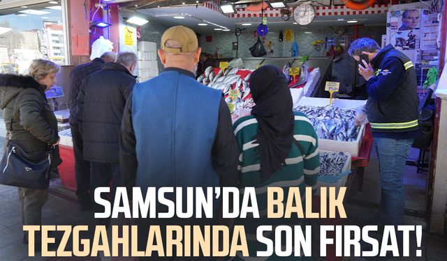 Sezonun sonuna gelinirken istavritin kilosu 70 TL'ye düştü
