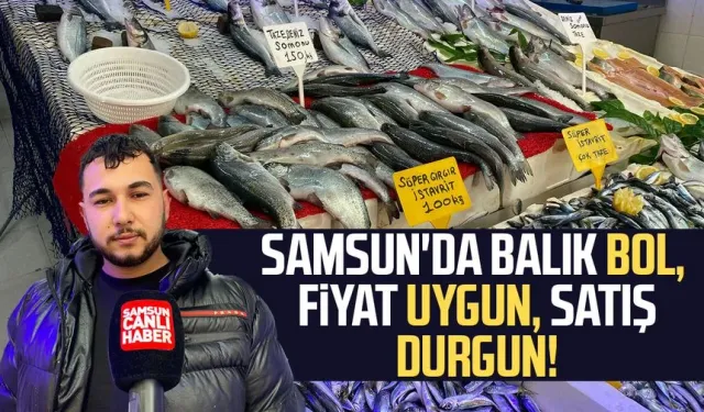 Samsun'da balık bol, fiyat uygun, satış durgun!