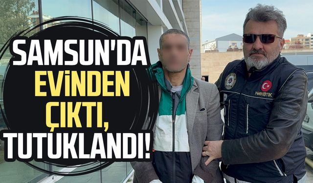 Evinde bonzai ele geçirilen şahıs tutuklandı