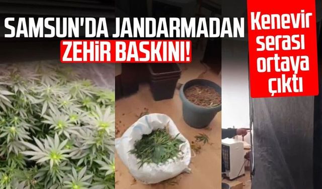 Jandarmadan evde kenevir operasyonu