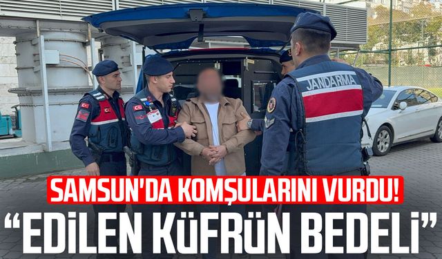 Gürültü kavgasında komşularını silahla vuran şahıs: 'Edilen küfrün bedeli'