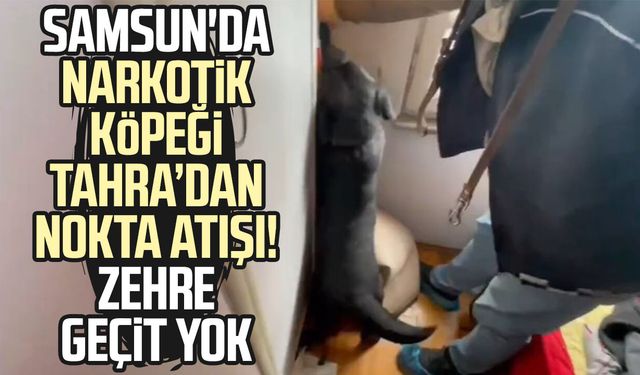 Samsun'da narkotik köpeği Tahra’dan nokta atışı! Zehre geçit yok