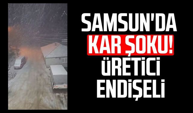 Samsun'da nisan ayında kar sürprizi! Üretici endişeli