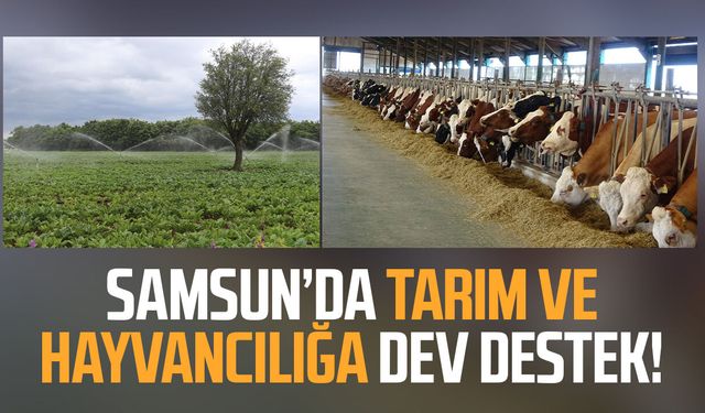 Samsun'da tarım, hayvancılık ve kırsal kalkınmaya 3 milyar TL üzerinde destek