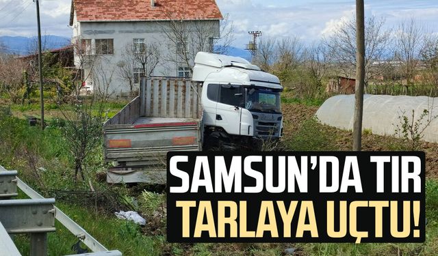 Samsun'da tır tarlaya uçtu: 1 yaralı