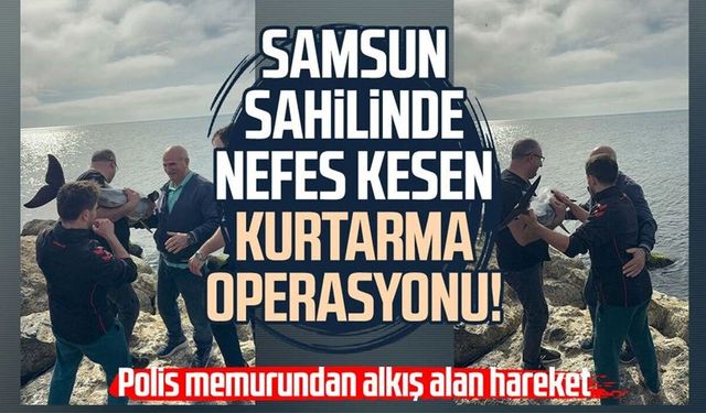 Kayalıklara sıkışan yunusu polis memuru kurtardı