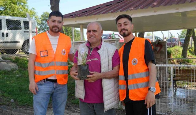 Atakum Belediyesinden kabir ziyareti yapan vatandaşlara çiçek fidesi