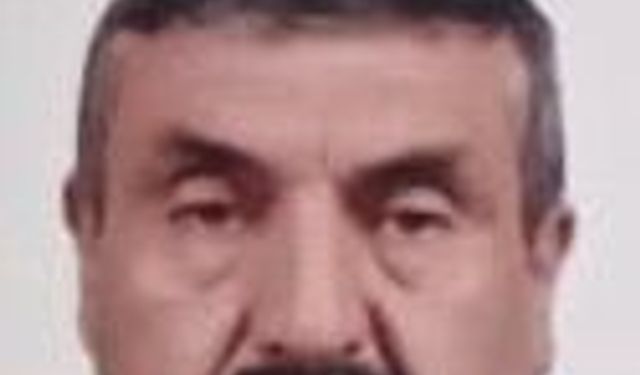 Devrilen ağacın altında kalan yaşlı adam hayatını kaybetti