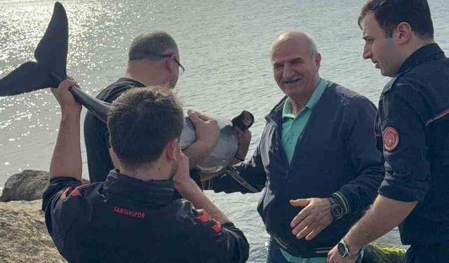 Kayalıklara sıkışan yunusu polis memuru kurtardı
