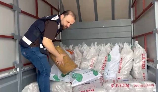 Samsun'da 770 kilo kaçak tütün ele geçirildi