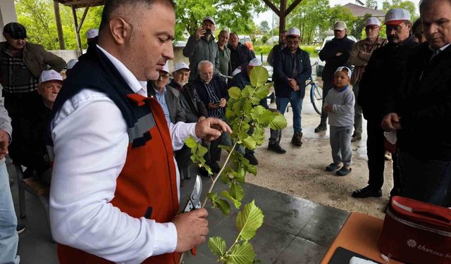 Samsun'da üreticilere 'aşılama' sertifikası
