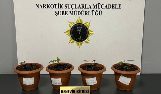 Samsun'da uyuşturucu operasyonu: 4 gözaltı