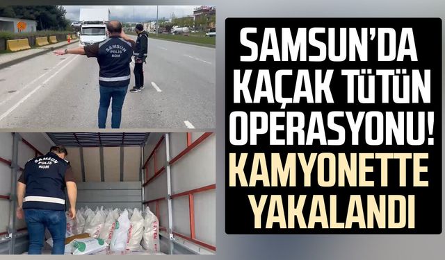 Samsun'da 770 kilo kaçak tütün ele geçirildi