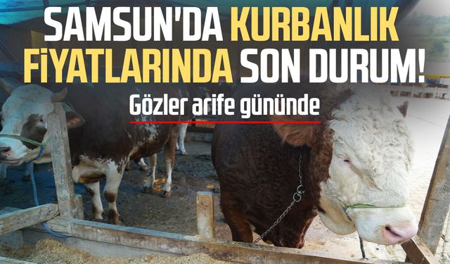 Samsun'da besiciler bayram satışlarından umutlu