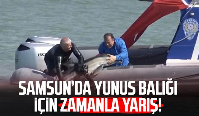 Dereye giren yunusu deniz polisi kurtardı
