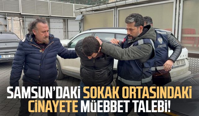 Cezaevinden çıkıp 104 gün sonra cinayet işledi: Müebbet talebi