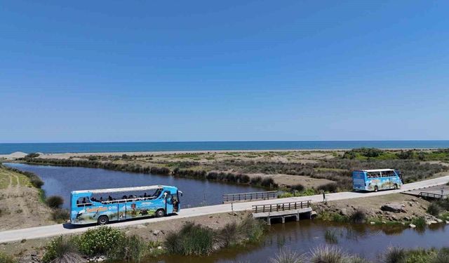 'ODAK Samsun' otobüsleri hafta sonu itibarıyla seferlerine başlıyor