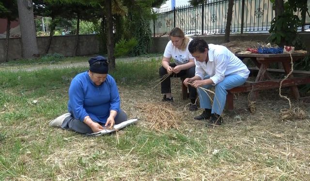 Pirinç sapı, tescilli Bafra zembiline can verdi