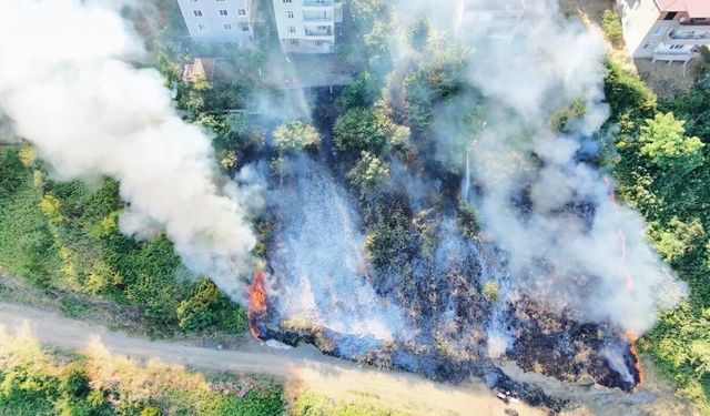 Samsun'da korkutan anız yangını