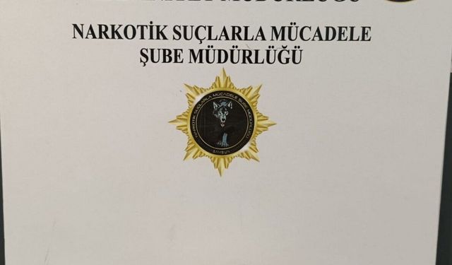 Samsun'da uyuşturucu operasyonunda 1 gözaltı