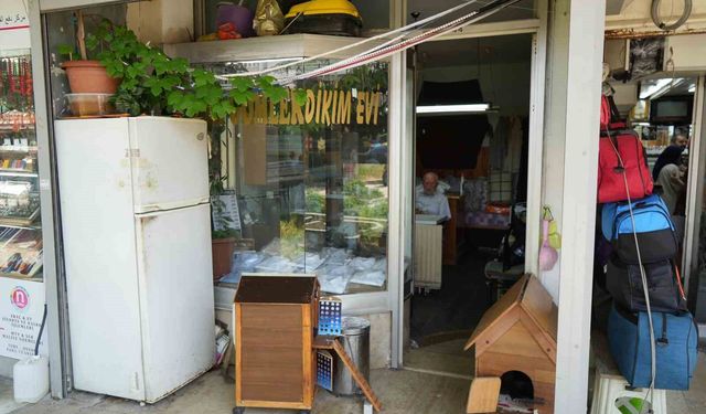 Sokak kedilerinin dedesi yıllardır kimsesiz kedilere sıcak yuva oluyor