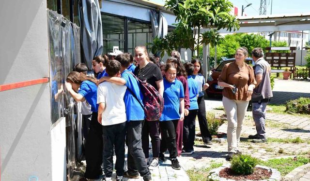 Terme'de 'doğa' sevgisi