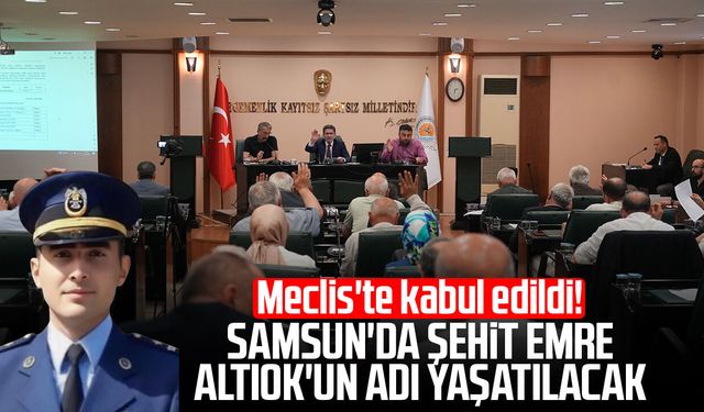 Samsun Meclisi'nde 38 madde karara bağlandı