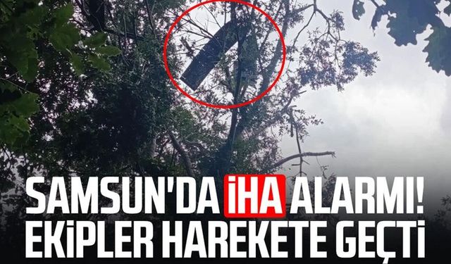 Samsun'un Alaçam ilçesinde İHA alarmı