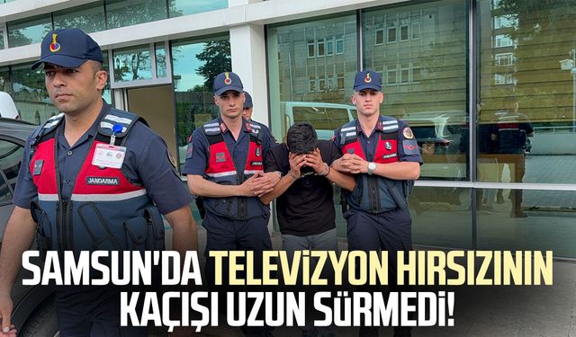 Televizyon hırsızlığı zanlısı, jandarma ekiplerince yakalandı