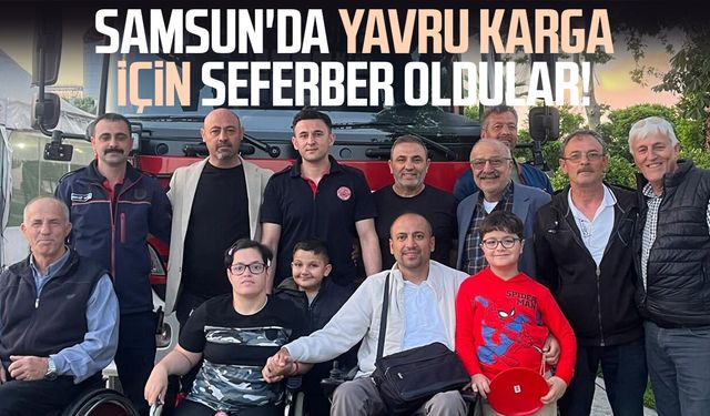 Engelli vatandaşlardan ve itfaiyeden yavru kargaya şefkat eli