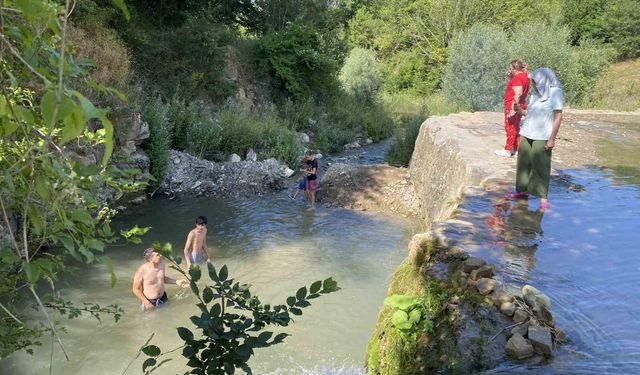 Atayurt Şelalesi doğal güzelliğiyle dikkat çekiyor