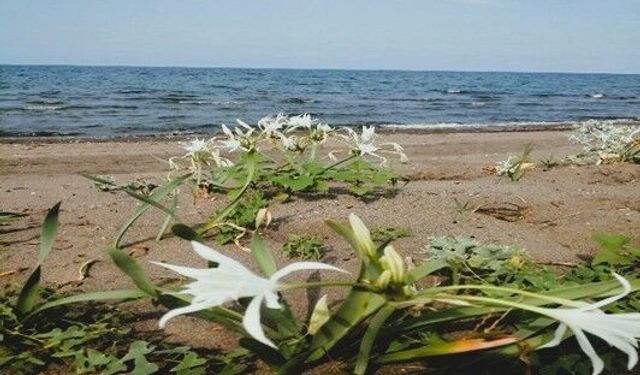 Çevre Kanunu'nu ihlal eden kişiye 699 bin TL idari para cezası