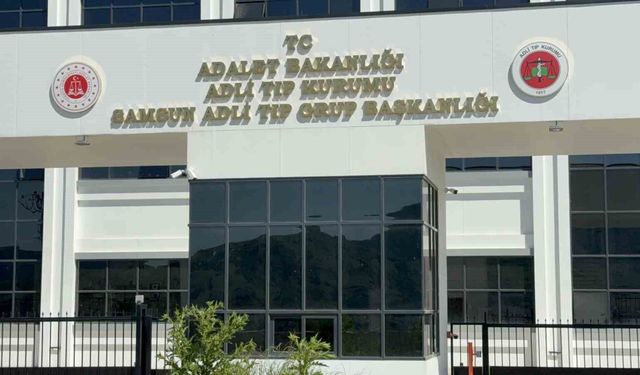 Ihlamur ağacından düşen yaşlı adam hayatını kaybetti