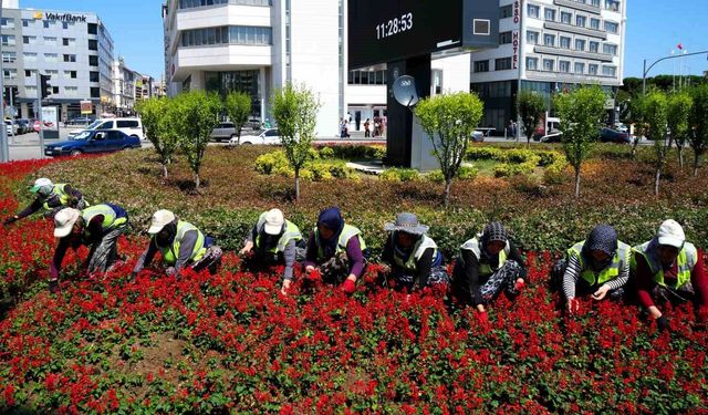 Kadınların emeğiyle Samsun çiçek açıyor